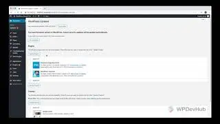 How to update WordPress Plugins and Themes