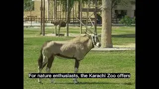 Karachi Travel Guide: Top Attractions, Landmarks, and Hidden Gems 2023