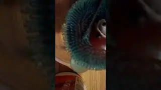 Stress ball fail