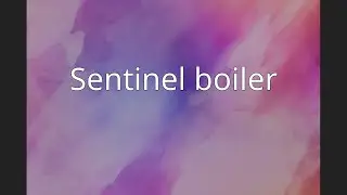 Sentinel boiler