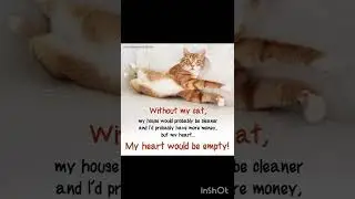 Cat Funny Quotes 🤣🤣😻😻#cat #india #qatar #cute #kitten #japan #usa #cutecat #trending #viral #china