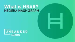 What is Hedera Hashgraph? - HBAR Beginners Guide