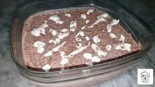 Chocolate souffle||inspired by merium parvez||easy and quick dessert||Architects kitchen window||