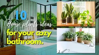 10 House Plants Ideas for your Cozy Bathroom 🌿 Bathroom Makeover 2021✔️