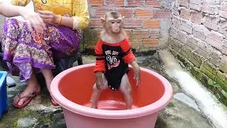 Mr. Dodo Waiting Swim In Bubbles Bath Very Happily