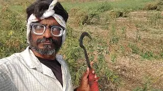 माणसाचा दिवस पलटायला वेळ लागत नाही | माझा YouTube Channel का Dead झाला? | Episode 34