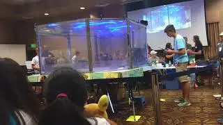 I Thought This Was an Anime Convention 2: Robotic Boogaloo