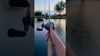 Worst fish to unhook #fishing
