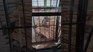 OPERA&Ccedil;&Atilde;O GRUA FIXA.