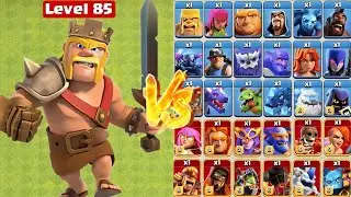 Max Barbarian King vs All Max Troops -Clash of Clans