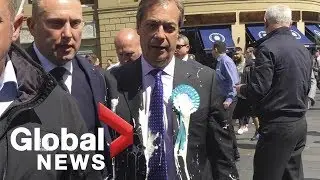 Brexit Party leader Nigel Farage splattered by milkshake on EU campaign trail