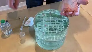 MRI Phantom Fill