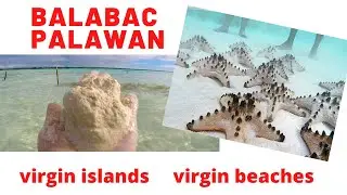 BALABAC: The Last Frontier of the Philippines' Last Frontier Video | Vlog #1 | Seaweed Farm