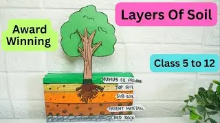 Soil Profile Model | Layers of Soil Project for School | Easy Science Model | Exhibition model