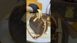 SPEEDY TRUNK 20 MONOGRAM