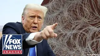 How are Trump policies coming together with policing causing a &lsquo;DRAMATIC SHIFT'?