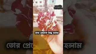 তোর প্রেমেতে অন্ধ হলাম! Tor premete ondho holam...(My edit)🤍 #viralvideos #viral #song #bangla