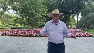 Paseo de Flores Summer Garden Tour