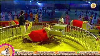 गोमाता आरती श्री गोधाम महातीर्थ पथमेड़ा 22-01-2026