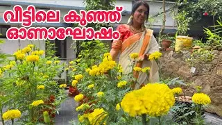 വീട്ടിലെ കുഞ്ഞ് ഓണാഘോഷം | Onam celebration 2025 at home 