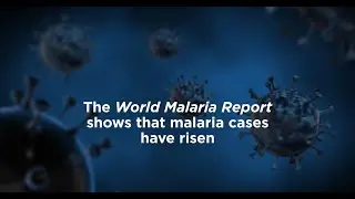 World Malaria Report 2023: Our commitment to investing in global health