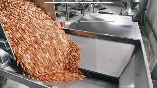 Dry Nut Electric Tunnel Roaster