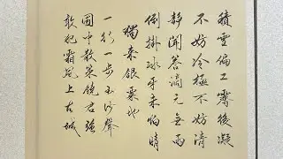 #書法#寫字#練字#孤獨墨人#楊萬里_ 雪凍未解散策郡圃#殘雪.林玉涵_苦海邊