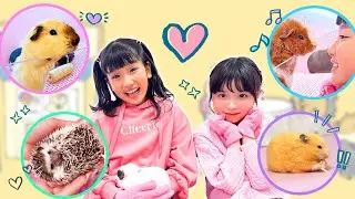 みのちゃんはお友だちと動物たちのお世話をするよ！　ぷっちぐみコラボ