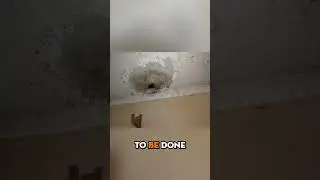 Дом мечты с главной спальней и ванной комнатой, который можно перепродать, и повышением его стоим...