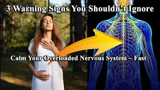 🌿 3 Signs Your Nervous System Needs a Reset 🧠 #NervousSystemReset #StressSignals #SomaticHealing