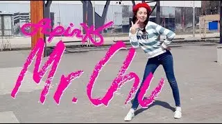 [PLAYPUNK] Apink(에이핑크) _ Mr. Chu(미스터 츄) cover dance