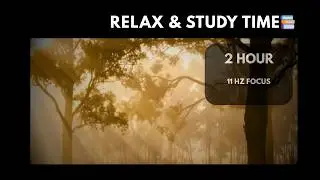 Relax & Study Time | Deep Focus Ambience (11Hz)