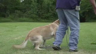 Basic Cast Drill