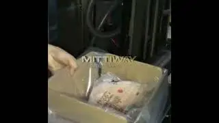 Fresh meat bagging inserter machine,bag inserting and closing packaging machine,bag in jar inserter
