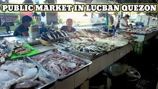 WALK IN LUCBAN PUBLIC MARKET| BUYING CARABAO MEAT