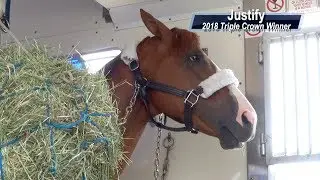 6/11/2018 Triple Crown Winner Justify Leaves From MacArthur Airport