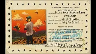 Retrospective Hip-Hop: Flower Boy