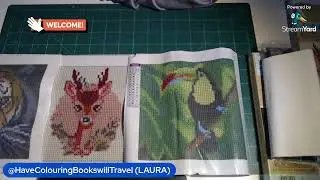 POP UP LIVE WIP ON FLUTTER AND SIP FROM DREAMER DESIGNS.