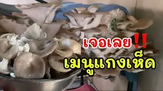 เลี้ยงแค่สามวันก็ได้กินแล้ว❗️น้องเห็ดโตแล้ว เจอเลยแกงเห็ดวันนี้ #viral อีสานบ้านเฮา #วิถีชาวบ้าน 