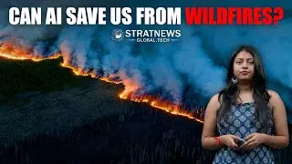 Can Artificial Intelligence Learn Wildfire Prediction?