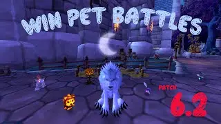 How To: Win Every Pet Battle (even Legendaries) WoD 6.2