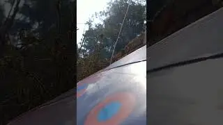 Follow for more nature videos.sea,flower,trees, water,festivals. #natureworld #pixel #nature #short