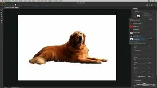 Selecting soft edge objects with Select and Mask in Photoshop 2022