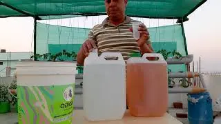 Hydroponic Nutrient Solution India & Guide