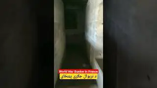 Scary World War2 Bunker in France #bunker #افغانستان #foryou #ww2 #war #warzone #shorts #fyp #france