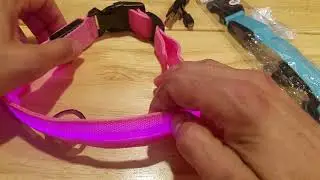 Glow-In-The-Dark Rechargeable LED Night Safety Dog Collar