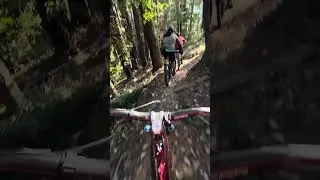 At least 44 riders coming up on Crowded trail near the coast
