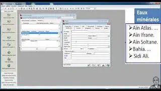Sage -- Gestion commerciale  : La famille/sous-famille d'article  -- (شرح مبسط)