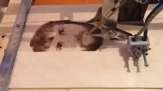 ЧПУ принтер , PyroPrint cnc , Выжигаем по старому фото, CNC printer, Burn on old photo