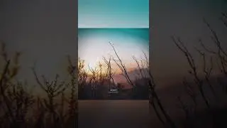 ZGOOT - Parable   